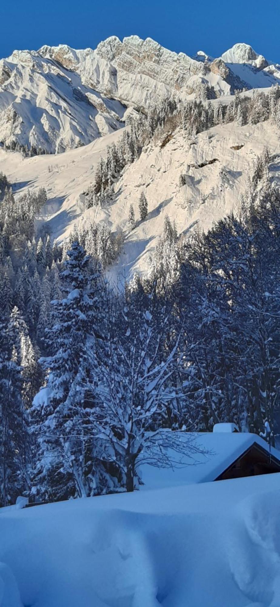 Chalet L'Armoy La Giettaz Exterior photo